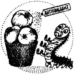 Химический язык насекомых _136.png