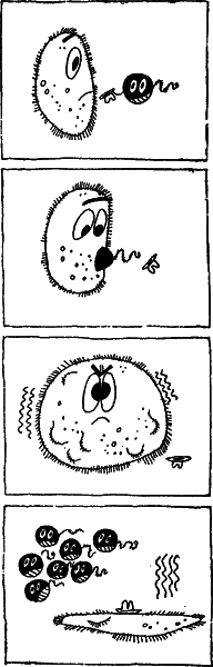 Когда отступает фантастика i_050.png