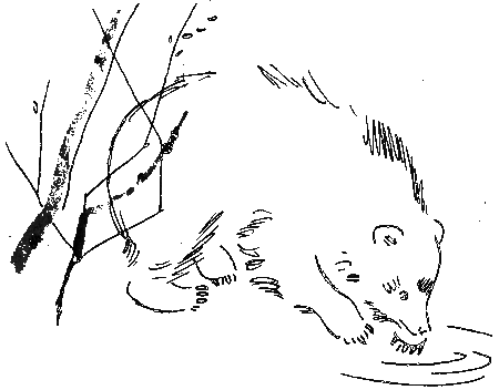Хозяева старой пещеры i_020.png