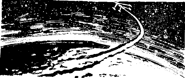 Дети Земли (илл. Н.И.Гришин) pic_7.png