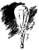 Открытие мира pic_5.png