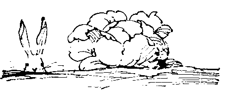 Три сказки и еще одна pic_19.png