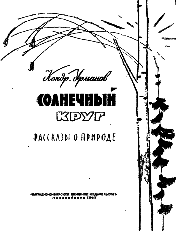 Солнечный круг i_001.png