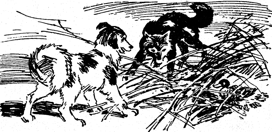 Солнечный круг i_009.png