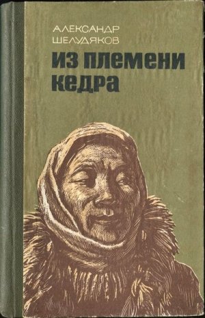 Из племени кедра