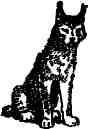 Времена года img_219.jpeg