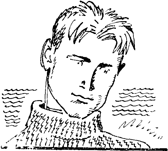 Зеленая креветка и другие рассказы pic_12.png