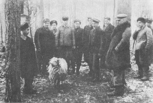 По ту сторону фронта i_015.jpg