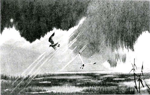 Зеленый корабль (с илл.) pic_10.jpg