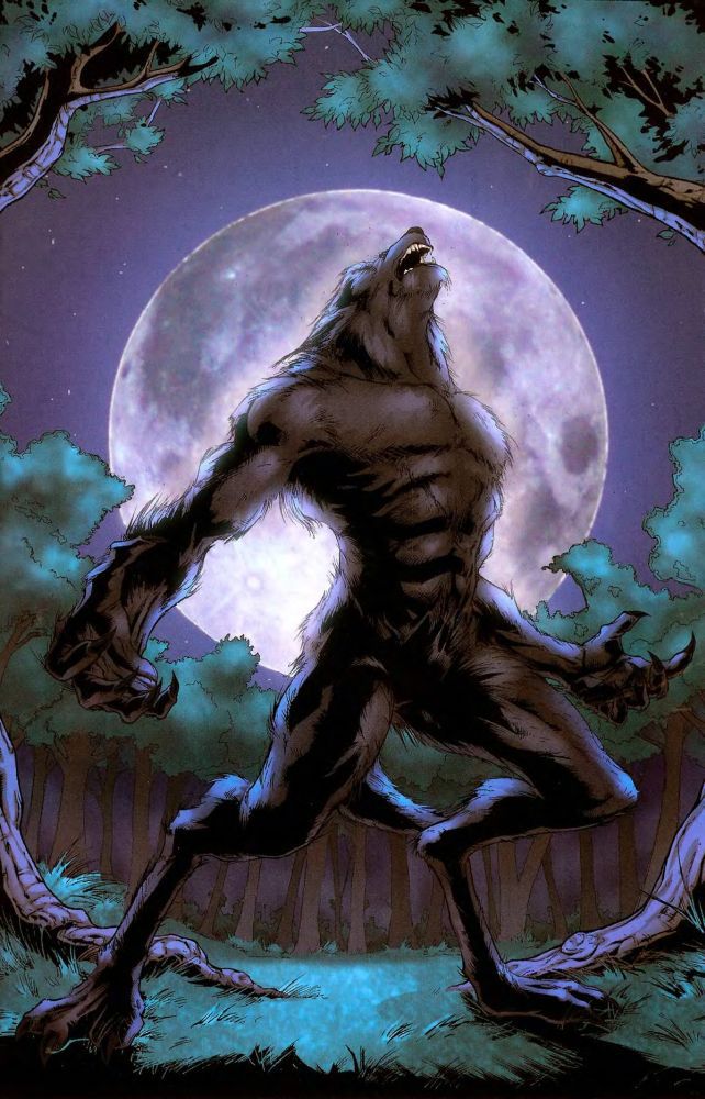 Grimm Fairy Tales Vol.1. Красная Шапочка i_027.jpg
