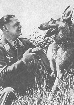 Черный крест и красная звезда. Воздушная война над Россией. 1941–1944 i_126.jpg
