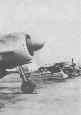 Черный крест и красная звезда. Воздушная война над Россией. 1941–1944 i_146.jpg