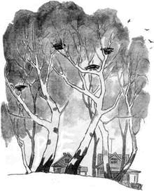 Белый баран i_001.png