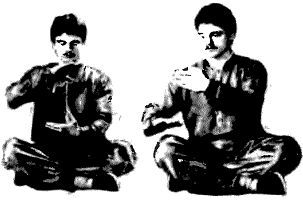 Жесткий цигун: управление жизненной энергией в практике боевых искусств _10.jpg_0