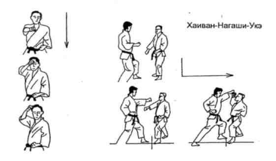 Динамика каратэ img_271.jpeg