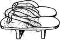 Динамика каратэ img_394.jpeg