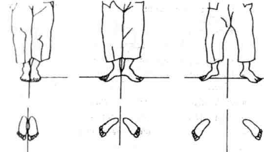 Динамика каратэ img_1.jpeg