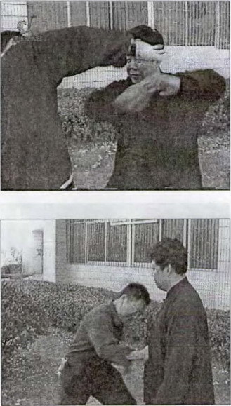 Традиционный тайцзицюань Grabbber.jpg_45