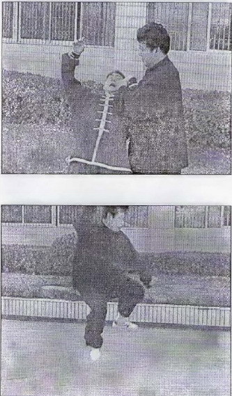 Традиционный тайцзицюань Grabbber.jpg_47