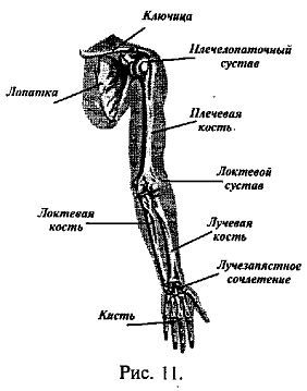 Русский рукопашный бой по системе выживания _13.jpg