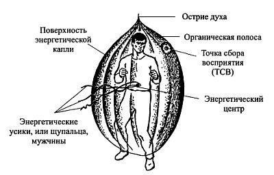 Взаимодействие с силой i_014.jpg
