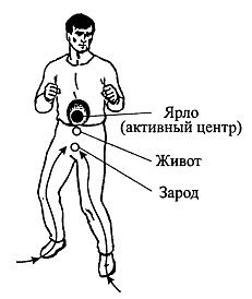 Взаимодействие с силой i_051.jpg