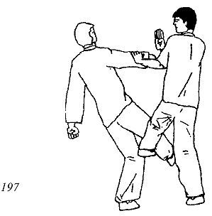 Энциклопедия ВИН ЧУН КУНГ-ФУ. Кн.4. Методы тренировки _197.jpg