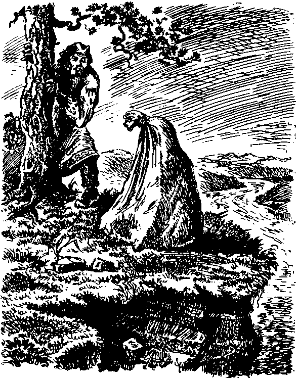 Мифы и легенды народов мира. Том 9. Народы России i_040.png