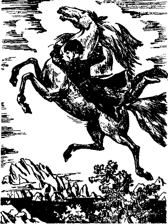 Мифы и легенды народов мира. Том 9. Народы России i_104.png