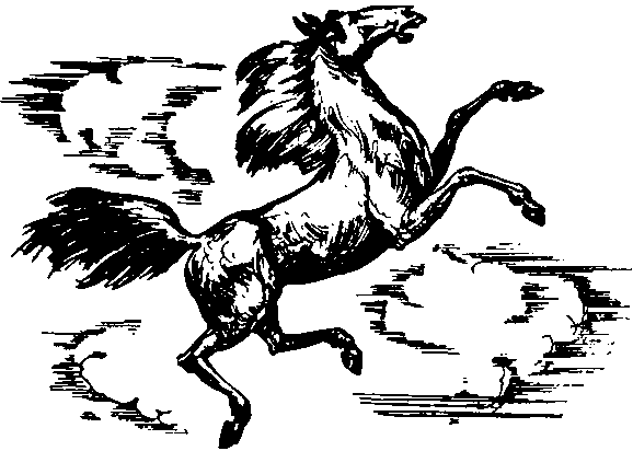 Мифы и легенды народов мира. Том 9. Народы России i_105.png
