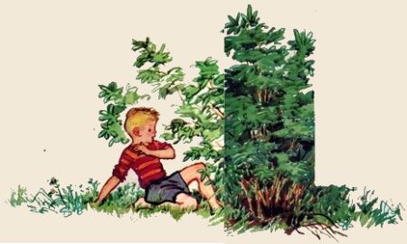 Линас и Валентинас (с илл.) i_010.jpg