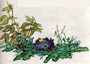 Линас и Валентинас (с илл.) i_013.jpg