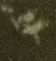 Семнадцать космических зорь _2.jpg