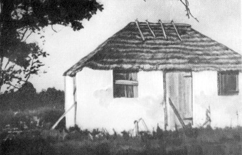 Остров в океане Vrezka14.jpg
