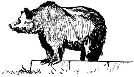 Мальчишка ищет друга i_015.png