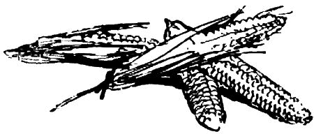 Колышек у вербы (Рассказы) i_033.png