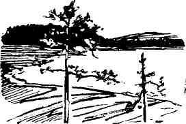 Человек ищет счастья img_17.jpeg