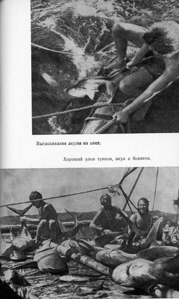 Путешествие на «Кон-Тики» (полный перевод) i_019.jpg