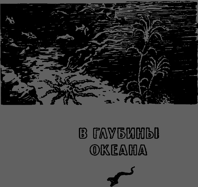 По следам Жюля Верна _039.png