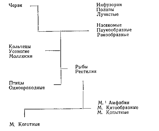 Подвиг жизни шевалье де Ламарка i_035.png