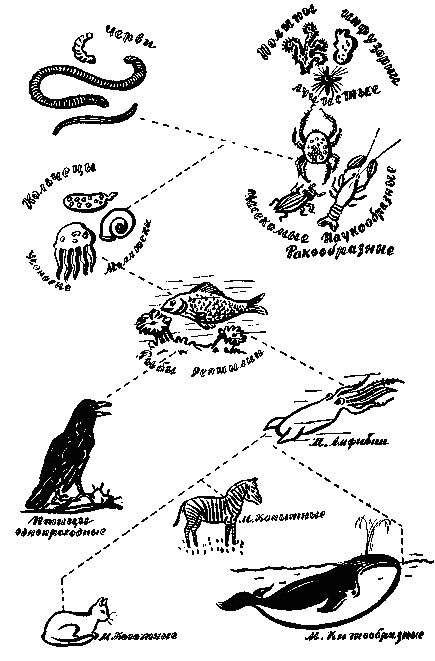 Подвиг жизни шевалье де Ламарка i_036.png