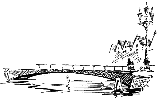 Тайна янтарной комнаты i_004.png