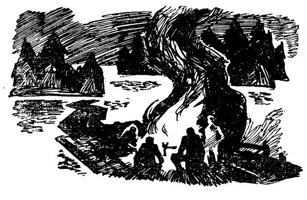 Праведная бедность: Полная биография одного финна (с илл.) sillanpja_ill_07.jpg