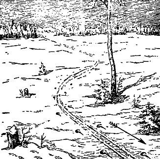 Ориентирование на местности без карты _30.jpg