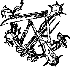 Гуситские войны (Великая крестьянская война XV века в Чехии) i_024.png