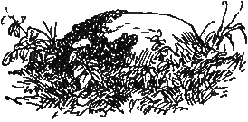 Трое отважных i_023.png