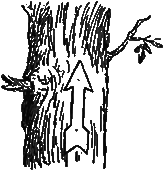 Трое отважных i_027.png