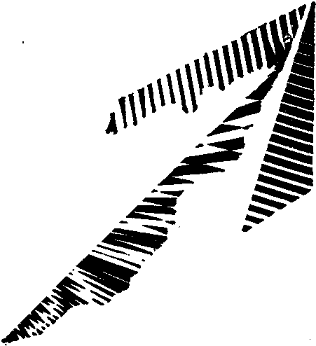 Приключения 1990 i_002.png