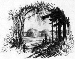 На берегах Себерянки i_034.jpg
