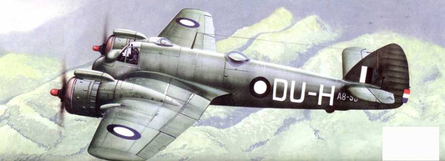 Bristol Beaufighter pic_216.jpg